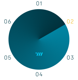 Desarrollo y gestión de proyectos estratégicos